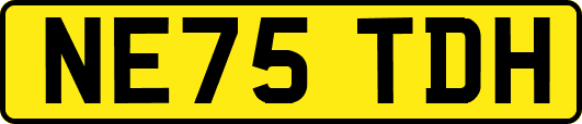 NE75TDH