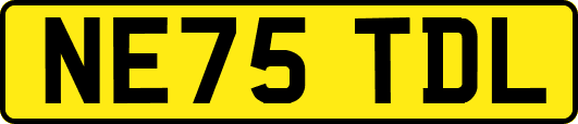 NE75TDL