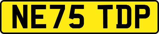 NE75TDP
