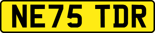 NE75TDR