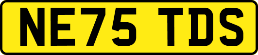 NE75TDS