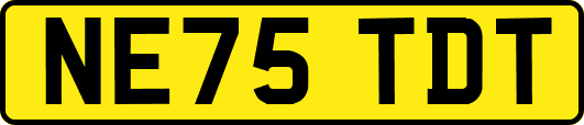 NE75TDT