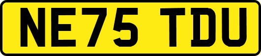 NE75TDU