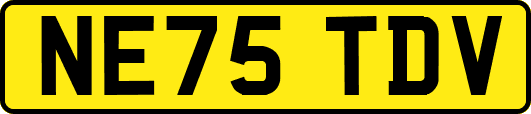 NE75TDV