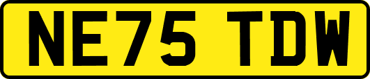 NE75TDW