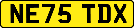 NE75TDX