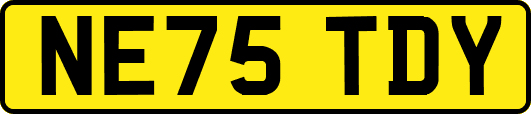 NE75TDY