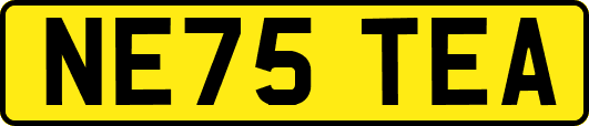 NE75TEA