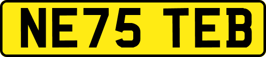 NE75TEB