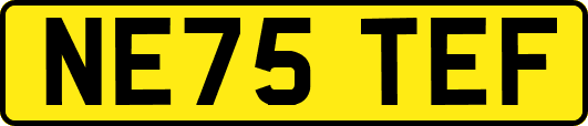 NE75TEF
