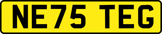 NE75TEG