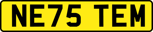 NE75TEM