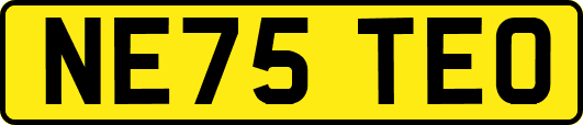 NE75TEO