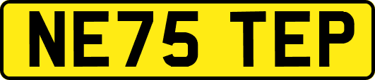 NE75TEP
