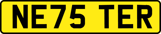 NE75TER