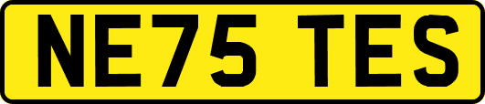 NE75TES