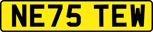NE75TEW