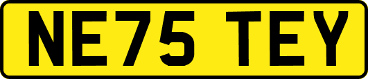 NE75TEY