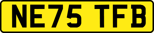 NE75TFB