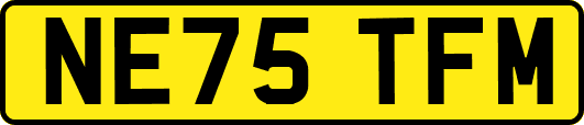 NE75TFM