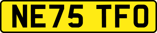 NE75TFO