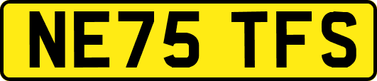 NE75TFS