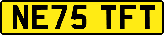 NE75TFT