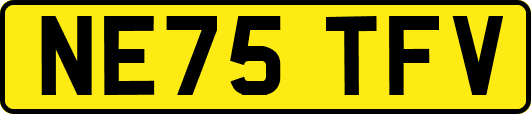 NE75TFV