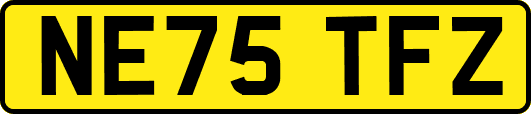 NE75TFZ