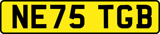 NE75TGB