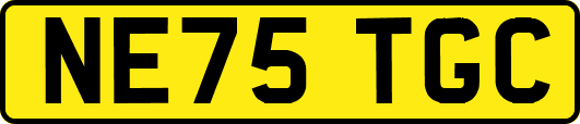 NE75TGC