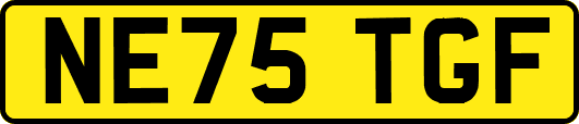 NE75TGF