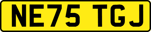 NE75TGJ