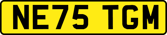 NE75TGM