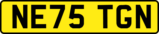 NE75TGN