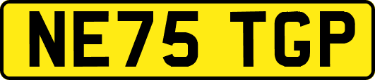 NE75TGP
