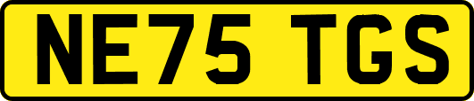 NE75TGS