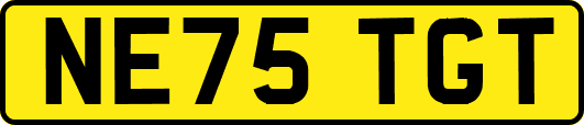 NE75TGT
