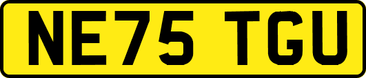 NE75TGU