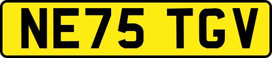 NE75TGV