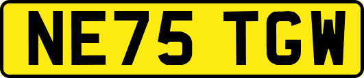 NE75TGW