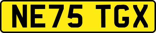 NE75TGX