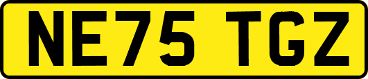 NE75TGZ