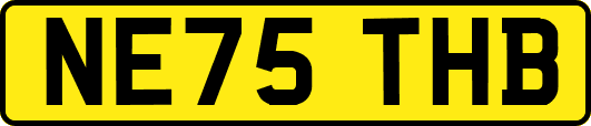 NE75THB