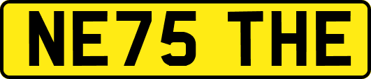 NE75THE