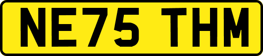 NE75THM