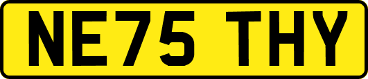 NE75THY