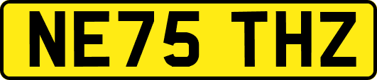 NE75THZ