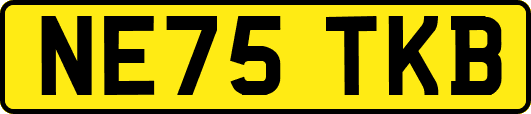 NE75TKB