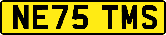 NE75TMS